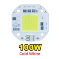 Cold White 100w