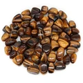 Tiger Eye L