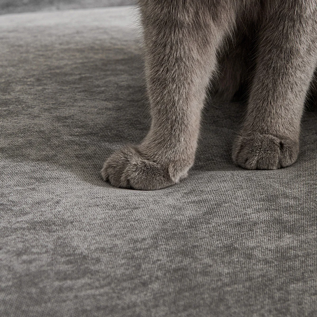 �� ���� �� �������� ���� ���, �ٸ��� ���� Ŀ��, ���� Ŀ��, �Žǿ� ���� ��ȣ��