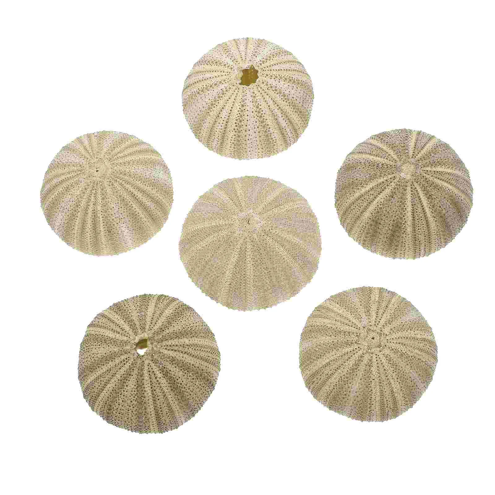 6 Pcs Green Sea Urchin Aquarium Landscape Air Plant Pot Shell Ornament Flower Pots The Mediterranean Decor DIY Accessory fish tank ornaments fish tank decorations aquarium ornaments mini landscape ornaments