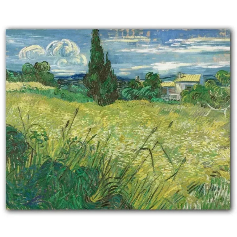 thumbnail image 1 of Póster de obra maestra de Van Gogh, póster abstracto de noche estrellada con flores de almendro en el jardín, póster de arte de pared, impresiones de pintura en lienzo, 1 of 5