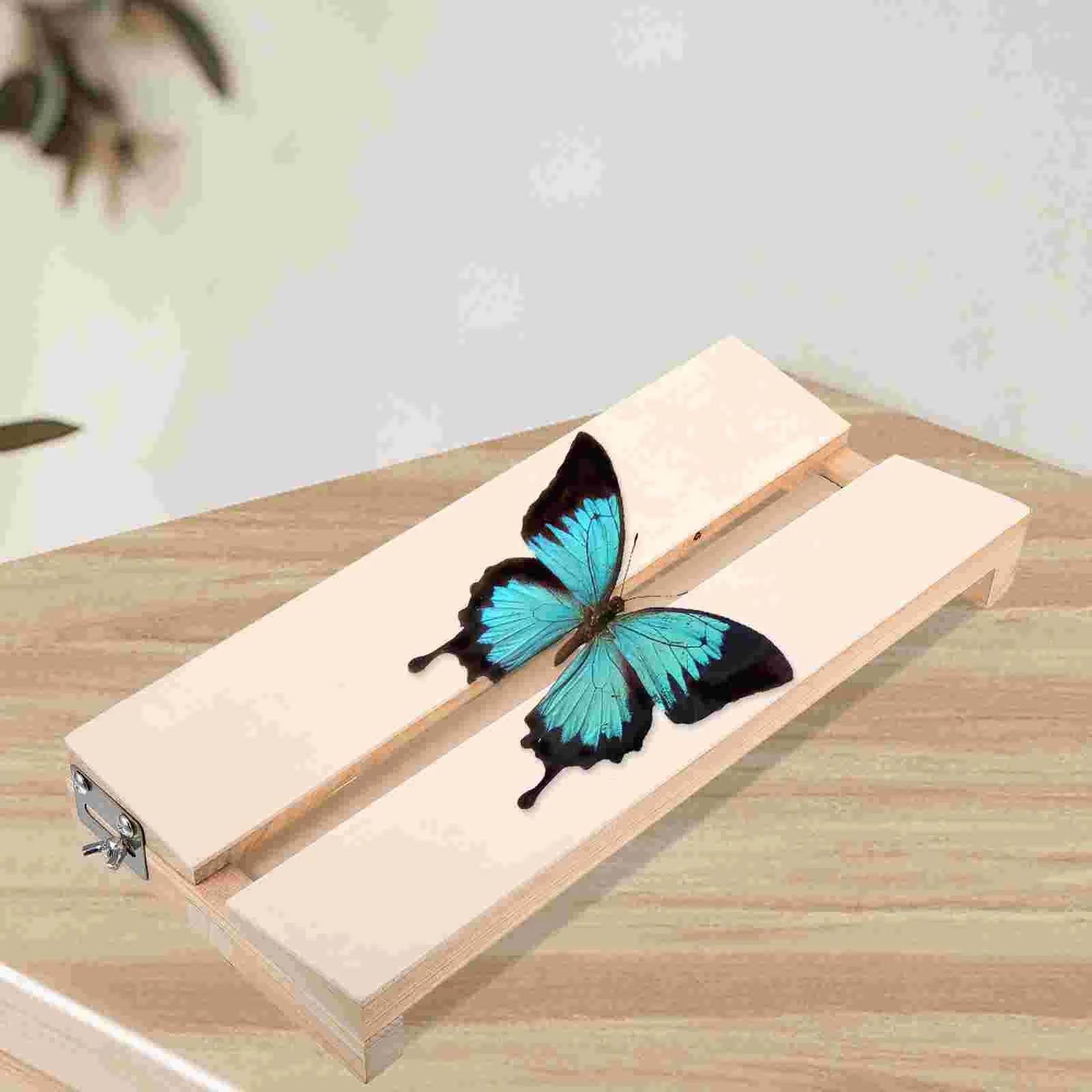 

Display Specimen Display Spreading Board Experiment Tool Spreading Wing Spreading Board Specimen Display Board Experiment Tool