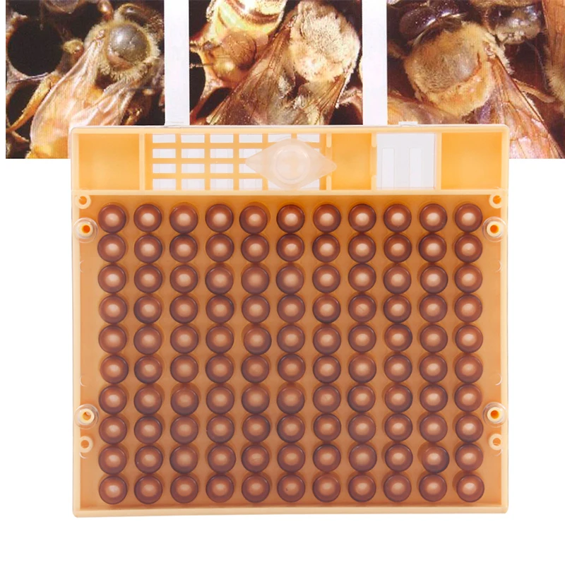 Набор чашек для пчелиных ячеек, клетка для выращивания, система выращивания пчелиных ячеек, набор для выращивания пчеловодства, коробка для выращивания пчелиных ячеек из пластика, 110 шт.