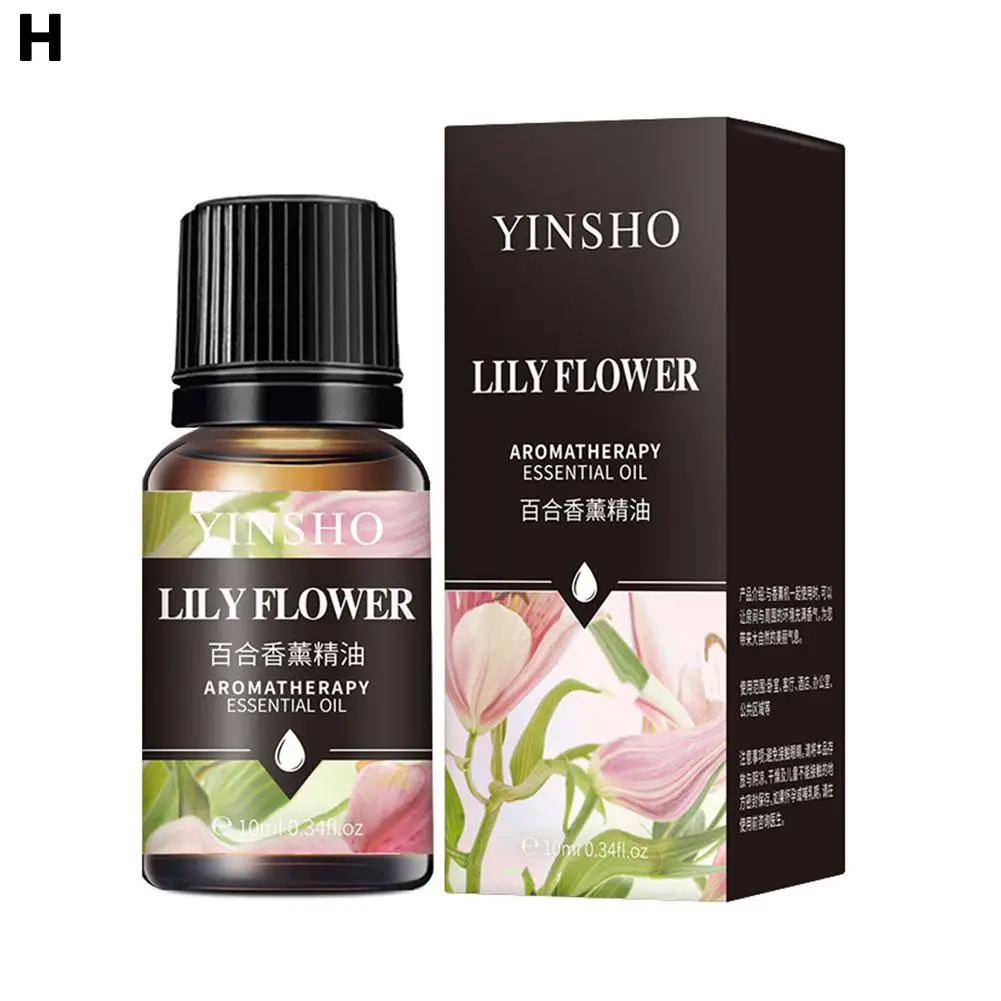 Aromatic Essential Oil Collection - 16 Fragrant Scents