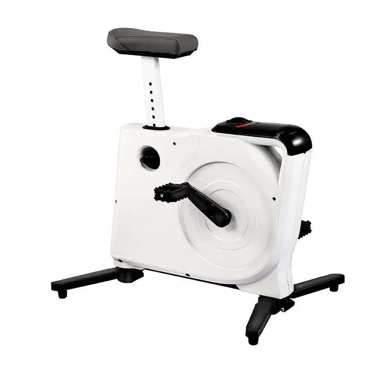 Maketec Max Load 110kg Mini Indoor Exercise Spinning Bike for Home Fitness