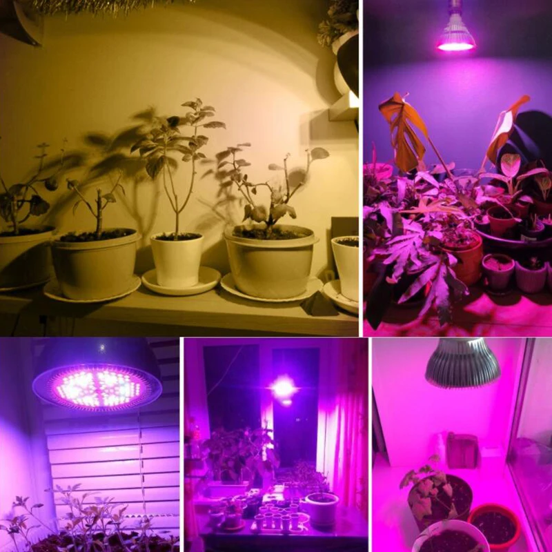 Slide image 7ebbbc2ecc7b4bd7a08fe46f1648e80a