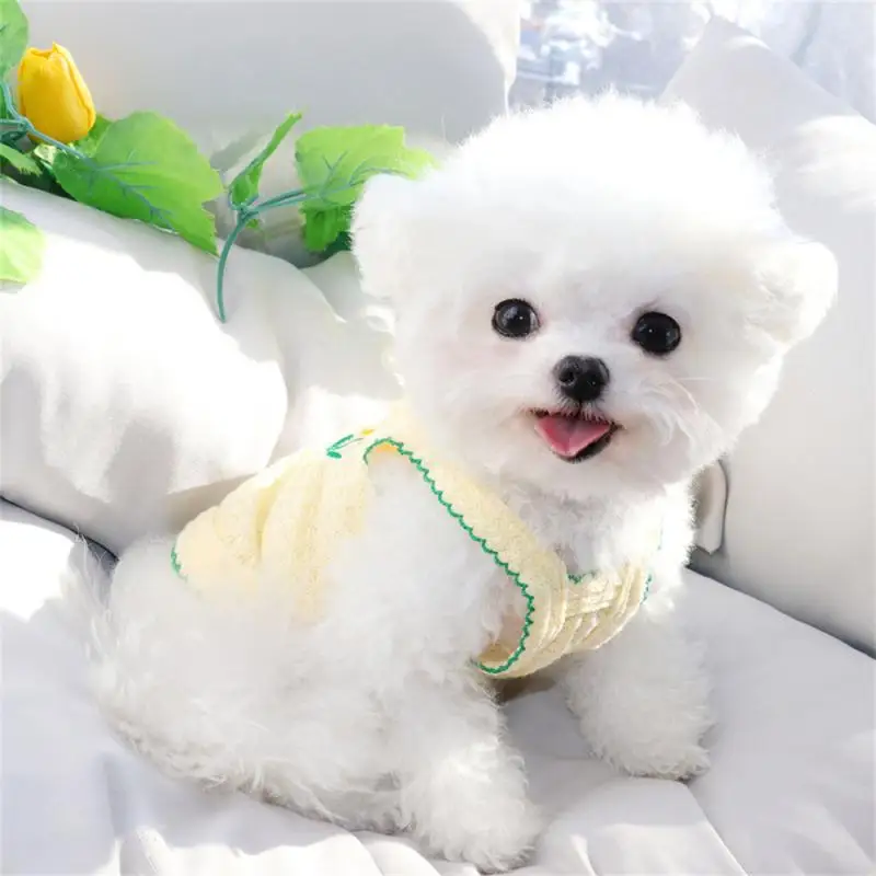 귀여운 강아지 여름 서스펜더 꽃 자수 개 의류, 곰 개 의류 조끼, 반려견 원피스 제품
