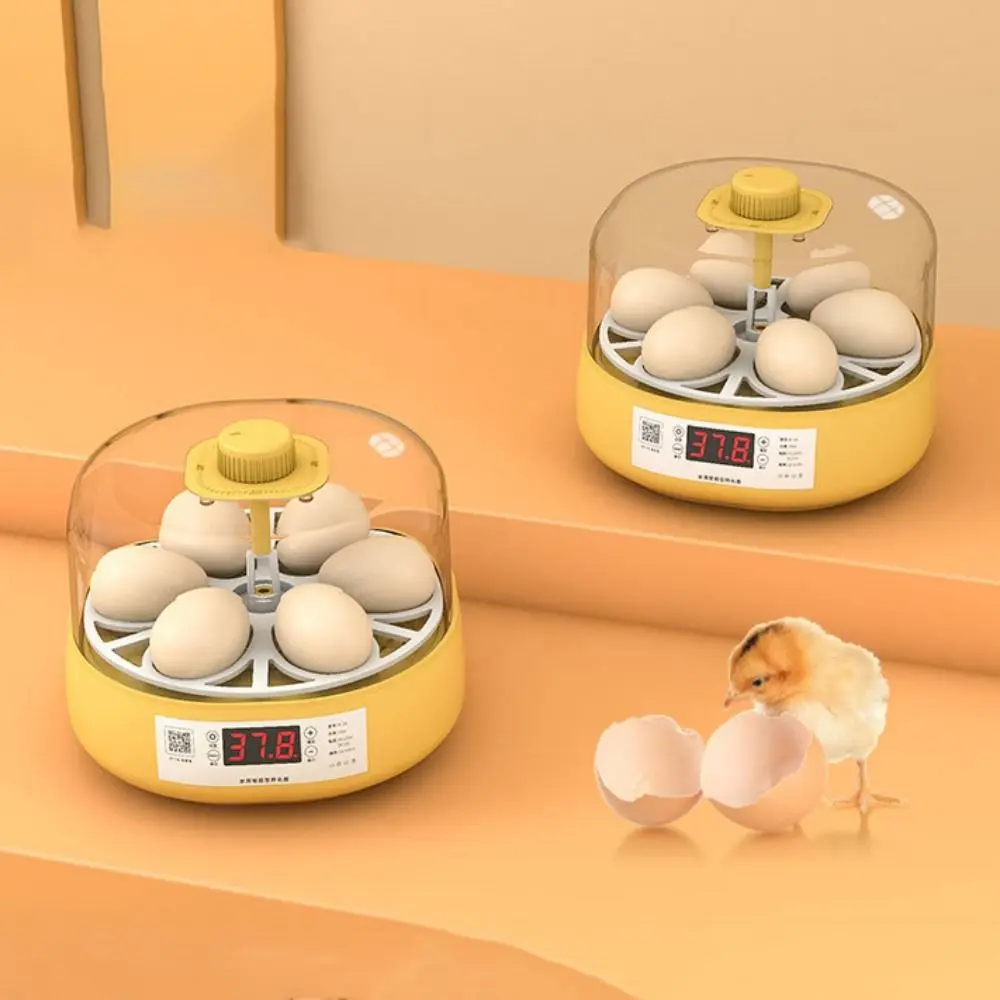 

Electric Mini Birds Egg Incubator Automatic Temperature Control Automatic Incubator 6/18 Eggs EU/US/UK/AU Plug