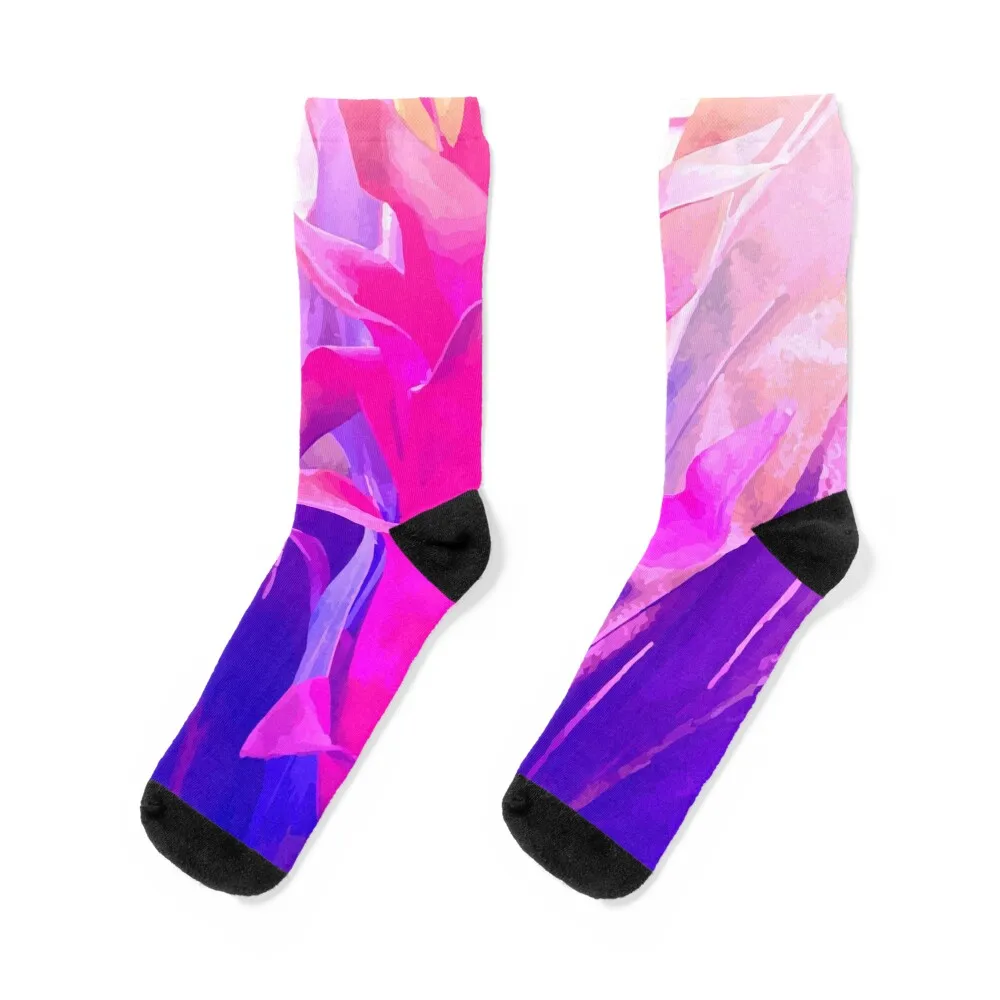 

Bromeliad Flower Socks custom floor cycling Socks Female Men's