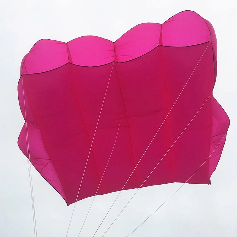 free shipping 6sqm large pilot kite flying inflatable kite parachute kite pendant professional kites and rays octopus kites koi 3