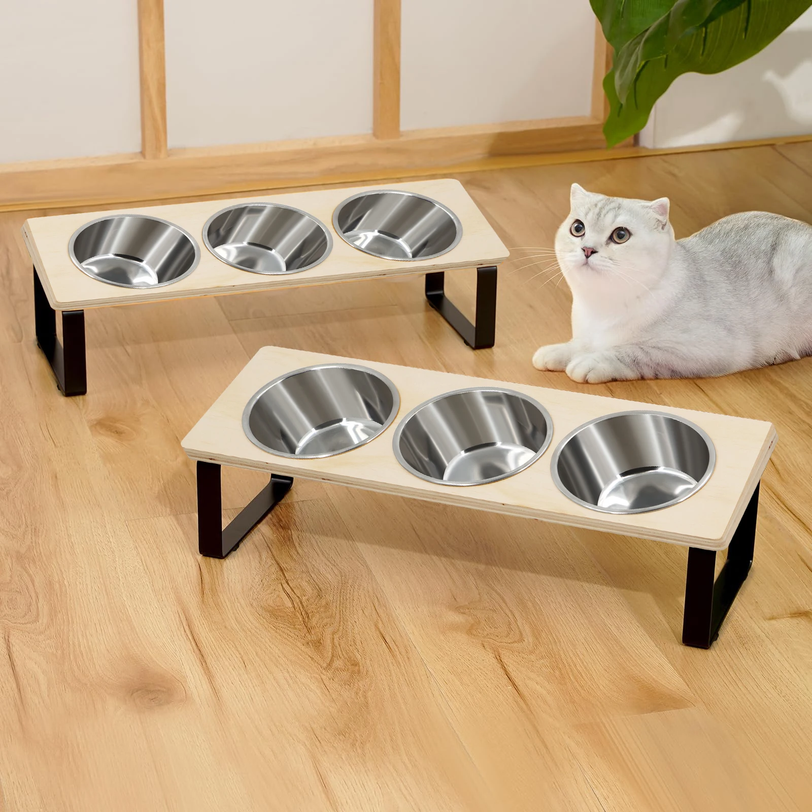 Elevated Cat Feeding Station 5