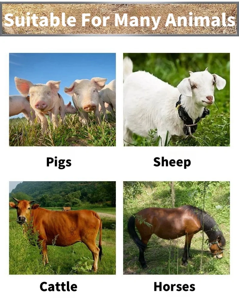 Description Picture 3 of itemVeterinary Ultrasound Scanner Portable Pregnancy Testing For Cattle Cow Pig Sheep Horse Farm Animals Pet B-ultrasound Equipment