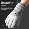 Winter Outdoor Ski Gloves Sports Warm Thermal Screen Gloves The Best Choice For Men's Women's Cycling Windproof Waterproof 3