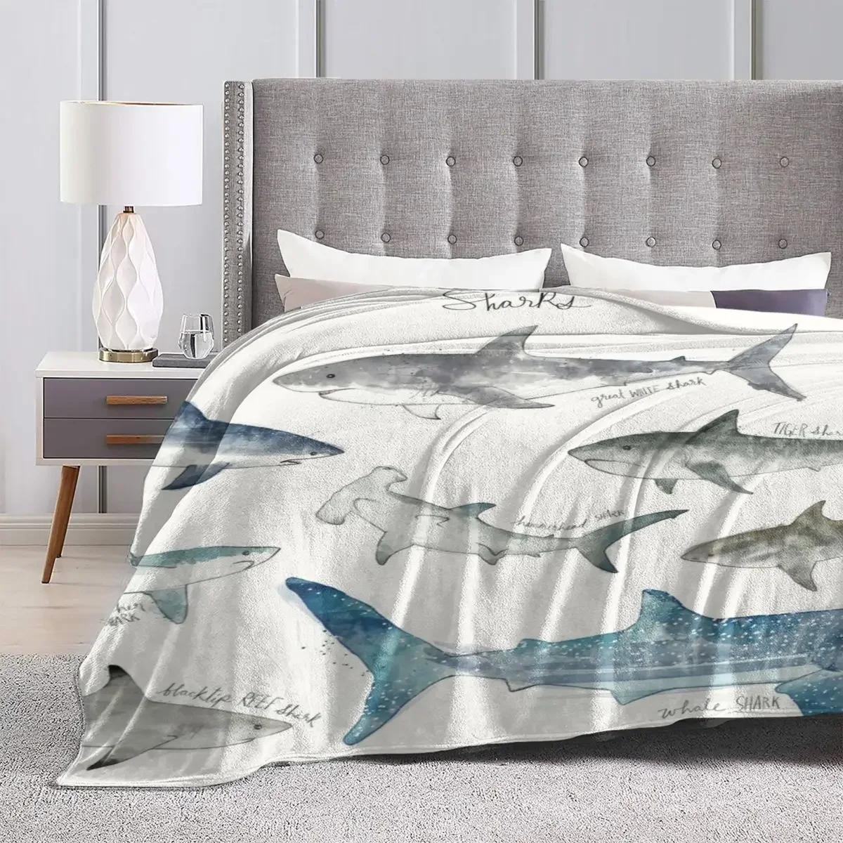 �ſ� �ε巯�� ķ�� ��� ǳ�� ������ ���, �ٴ� �ڿ� ����, ������ �ö��� ħ�뺸, ���� ����, ���� ħ�� Ŀ��