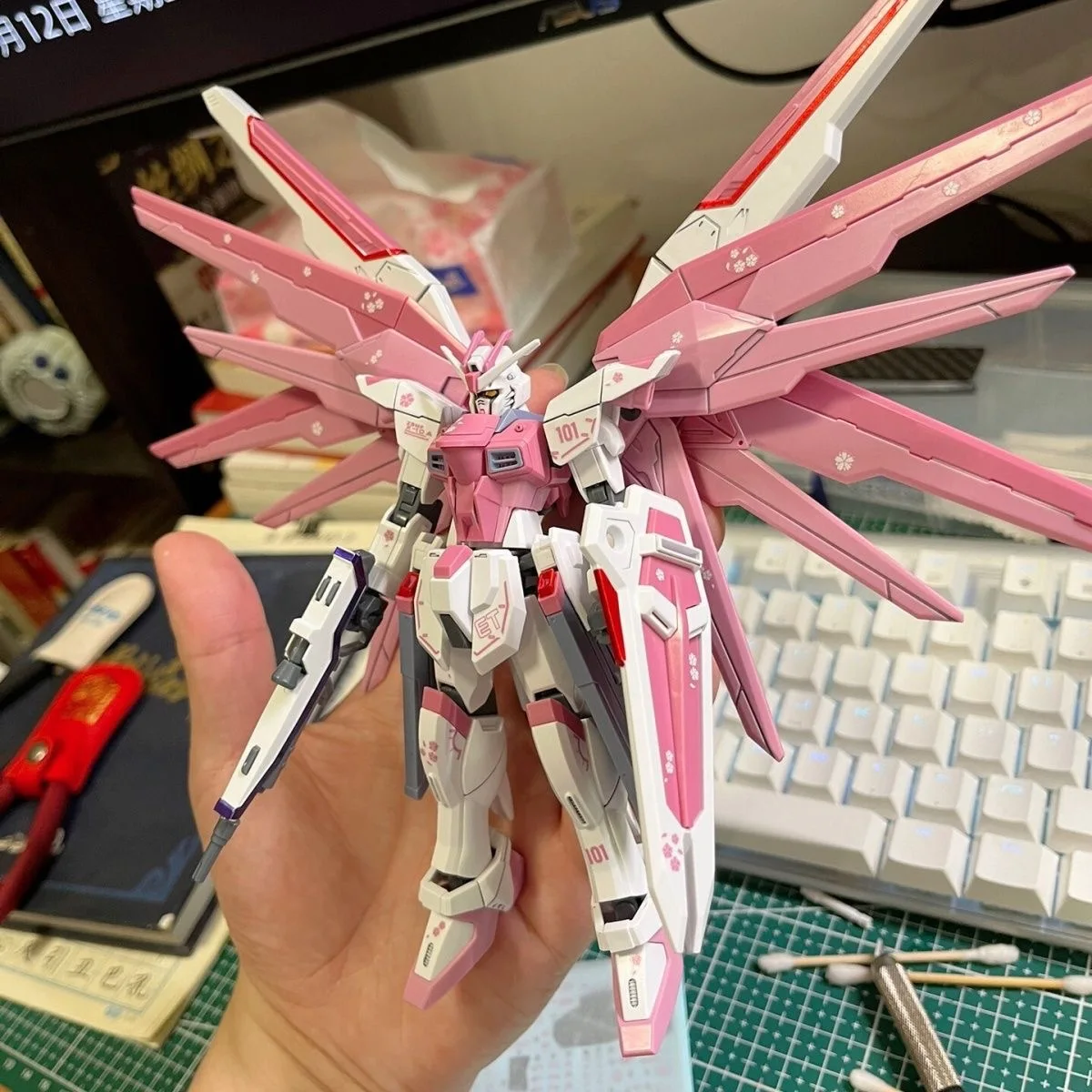 Hg 1/144 Zy-06 Freedom Assault Cherry Blossom Assembly Model