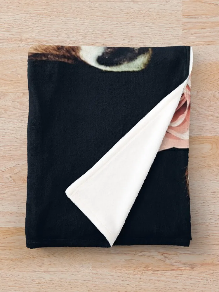 Glamour �ϼ� ������ ���, �ε巯�� �÷��� ���� ���� ���� ���, ǫ���� ���