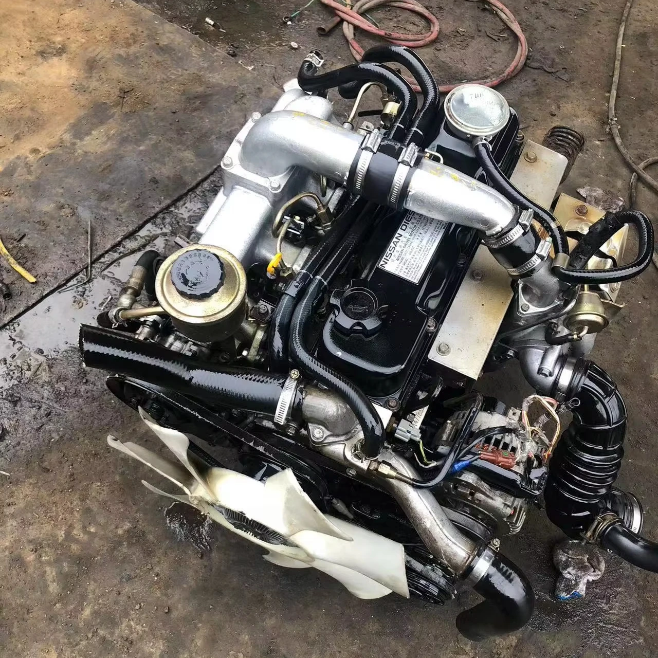 Everything You Need to Know About the Nissan YD25 Diesel Engine for ...