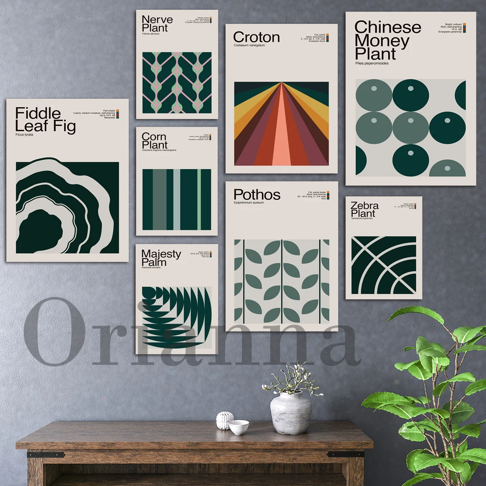 Foglia Di Violino Fico Pianta Di Mais Dracaena Ala D'Angelo Begonia Zebra Croton Albero Filodendro Gloria Palma Metà Secolo Pianta Da Appartamento Pos