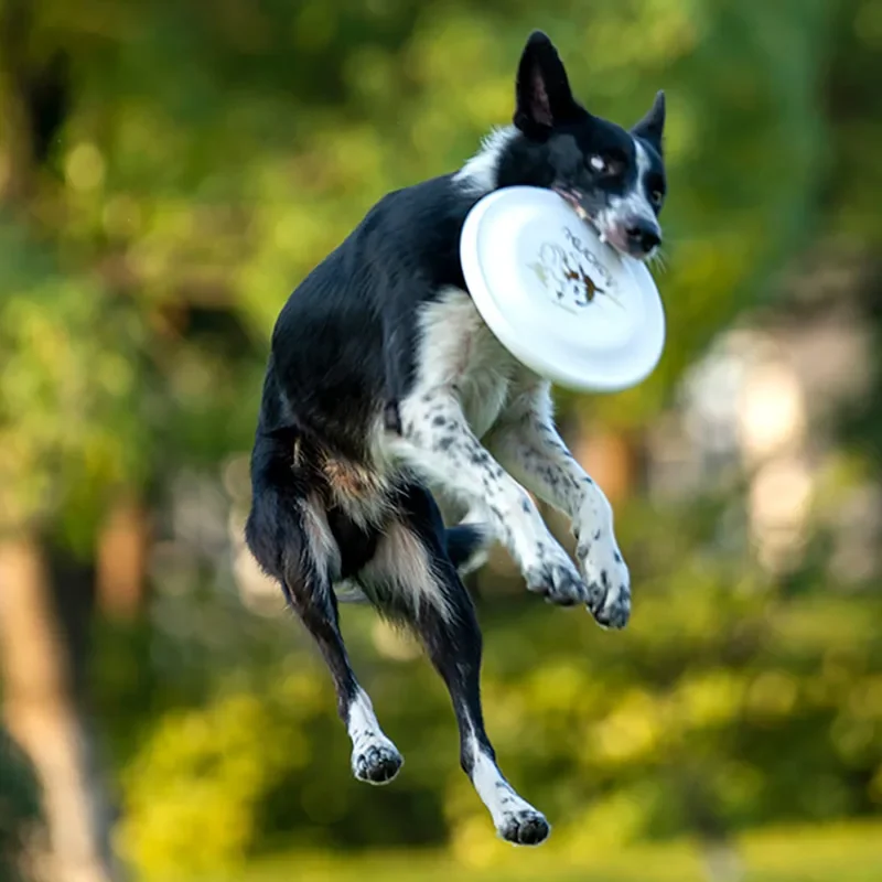 Professional Dog Competition Flying Disk Kids Pet Funny