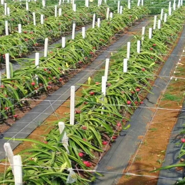 Mezőgazdasági Anti-Füves Ruhával Farm-Orientált Gyomi Gát Szőnyeg Pp Talajtakaró Vastagabb Gyümölcsös Kert Gyomvezérlő Szövet - Image 3