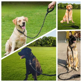 Heavy Duty Dog Leash 2
