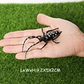 Longhorn beetle
