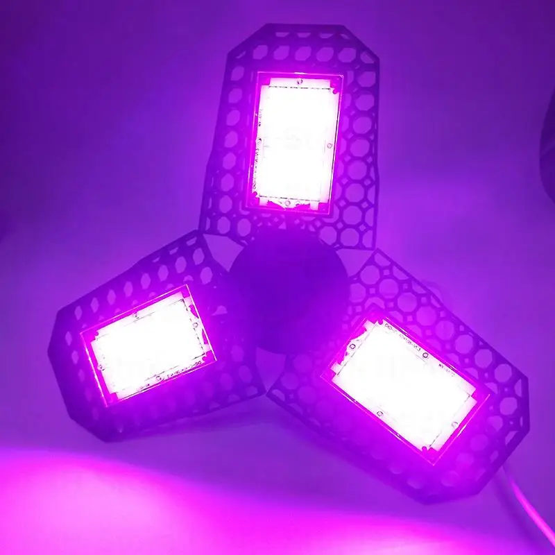 Slide image 0cb01d62df244e1896fd8c6f3df4ec20