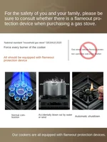 Hua Yan Gas Stove, Dual Stove Gas Stove, Household Liquefied Gas, Natural Gas Bench, Double End, Old style 2