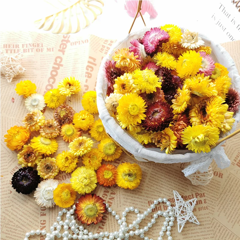 Daisy Dried Flower Natural Sunflower DIY Epoxi Resin Mold Home