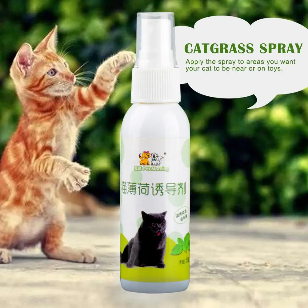 Cat Catnip Spray 50ml Cat Catnip Spray Natural Healthy Safe Long-term Effect Soothe Mood Scratching Pad Inducer Pet Training Spray Pet Supplies
