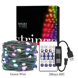 Dream Color RGBIC LED String Lights, 5M-20M, Waterproof, for Outdoor Parties and Christmas Celebrations (Green USB set)