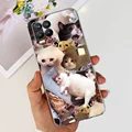 Case-c33
