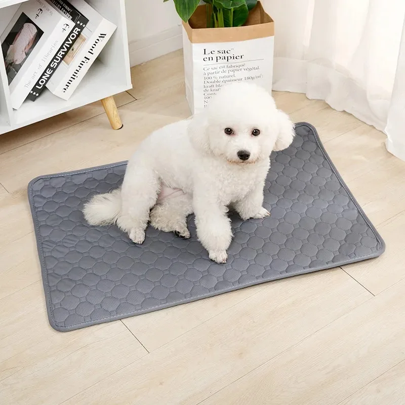 Reusable Dog Pee Pad Blanket 3