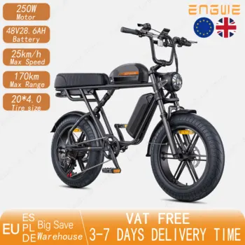 ENGWE M1 Bici elettrica 250W Motore 48V28.6AH Doppia batteria Doppia sospensione Bicicletta elettrica da montagna fuoristrada da 20 pollici