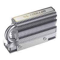 HR-09 M. 2 2280 SSD Heat Sink Fully Electroplated Reflow Welding AGHP HeatPipe M.2 Solid State Drive Radiator SSD Cooler