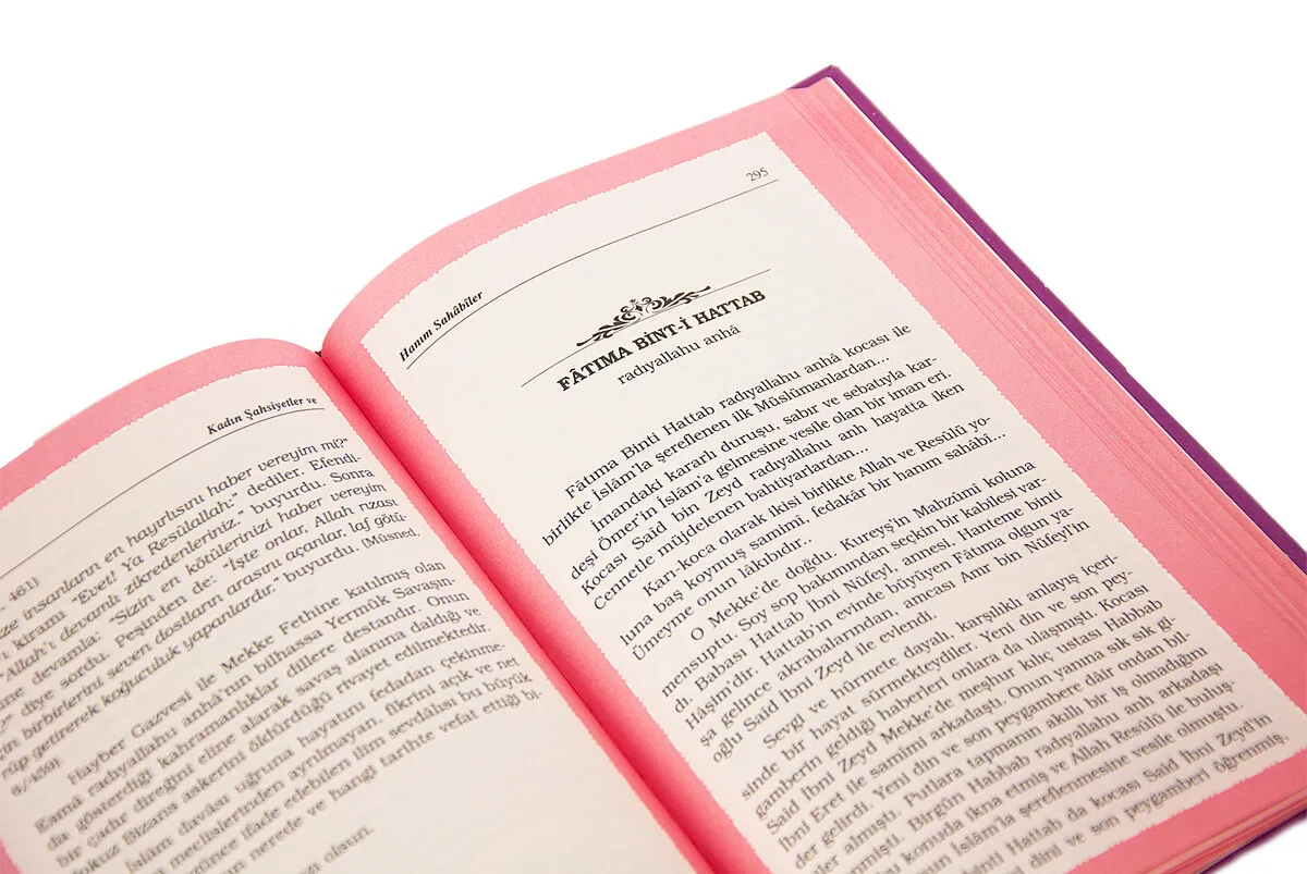 Рисунок 4 - Женские фигурки и подружки Sahabiler