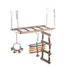 Bird Toy Ladder, Swing, Lifting Ring, Bird Biting Equipment, Peony Parrot Toy 1