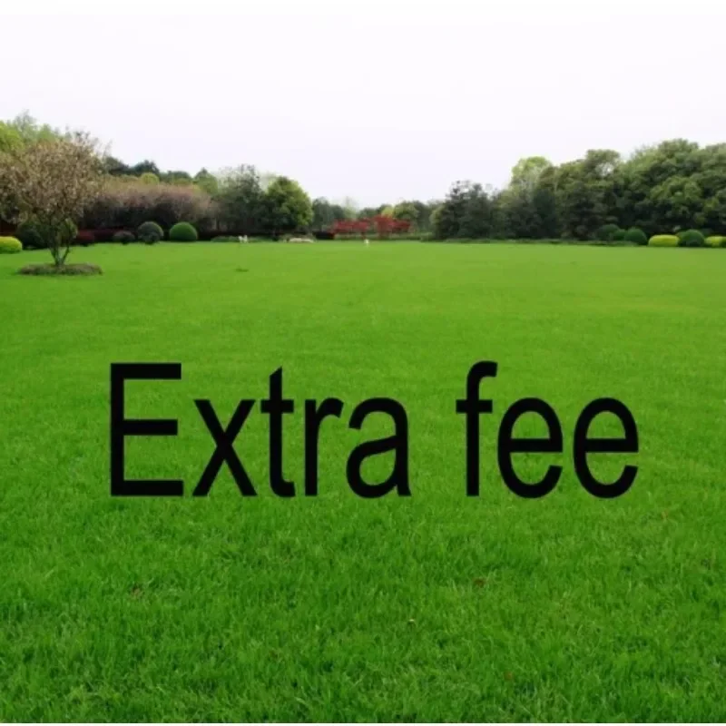 

Extra Fee link,You can pay here