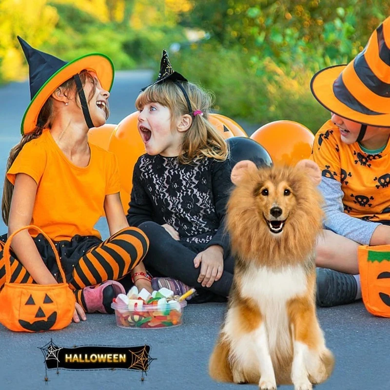Halloween Pet Lion Head Hat Costume - Fun and Practical Dog Lion Mane Collar Outfit for Home Use Creative and Interesting