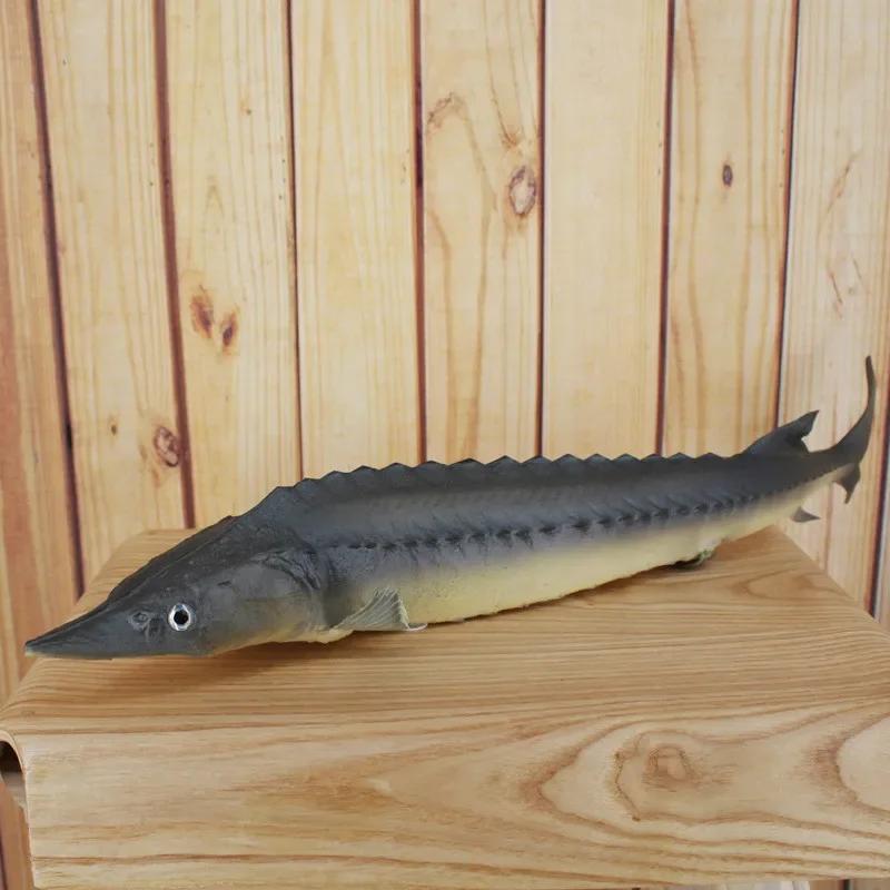 Pu Sturgeon Fish Simulation Model Home Living Room Decorations