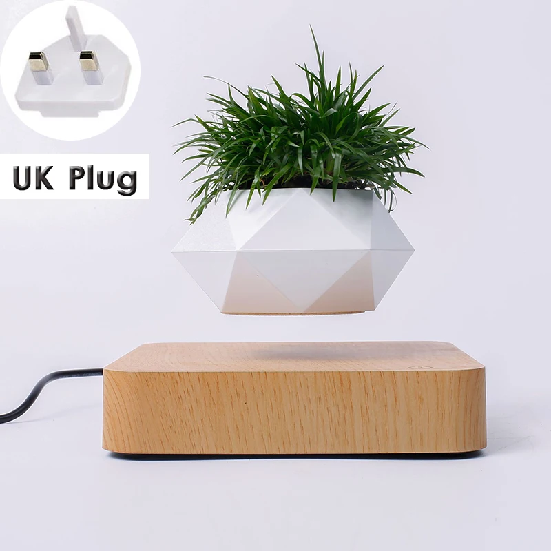 UK Plug