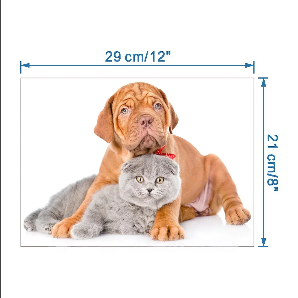 29*12cm Cute Kitten Bedroom Stickers Kawaii Real Shot Cat Toilet Stickers PVC Wall Refrigerator Home Decoration