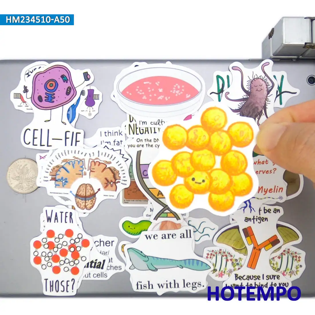 20/30/50 Stück, Aufkleber im Biologie-Stil, Lustige Graffiti, Life-Science-Aufkleber, für Kinder, Sammelalbum, Tagebuch, Gepäck, Laptop, Telefon, Fahrrad, Auto, Gitarre, Helm, Aufkleber Spielzeug – Detail 10