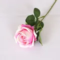 White deep pink