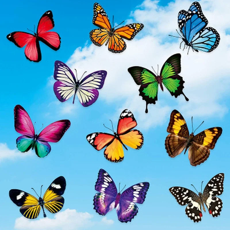 20PCS Butterfly Window Stickers Wall Stickers