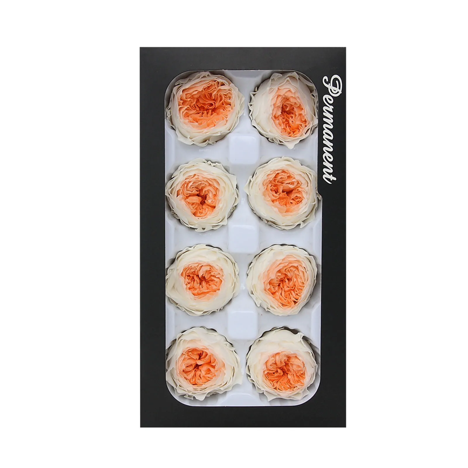 Eternal Life Flower A Level 4 5cm Key Chain Car Hanging Gift Box Flower Material Bridal Headwear Dry Autumn Flowers 6