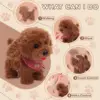 Interactive Electronic Puppy Toys for Kids, Walking Dog Toy with Leash, Remote Control, for Girls and Boys Aged 3+,birthday gift 2