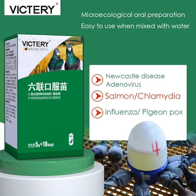 살모넬라 호흡기, 4 인 1 레이싱 비둘기, 10g 