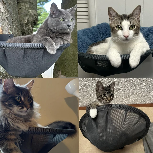 Cat Hammock Wall Mounted Foldable and Stable Breathable Cat Bed for Sleeping, Playing, Climbing and Resting 6
