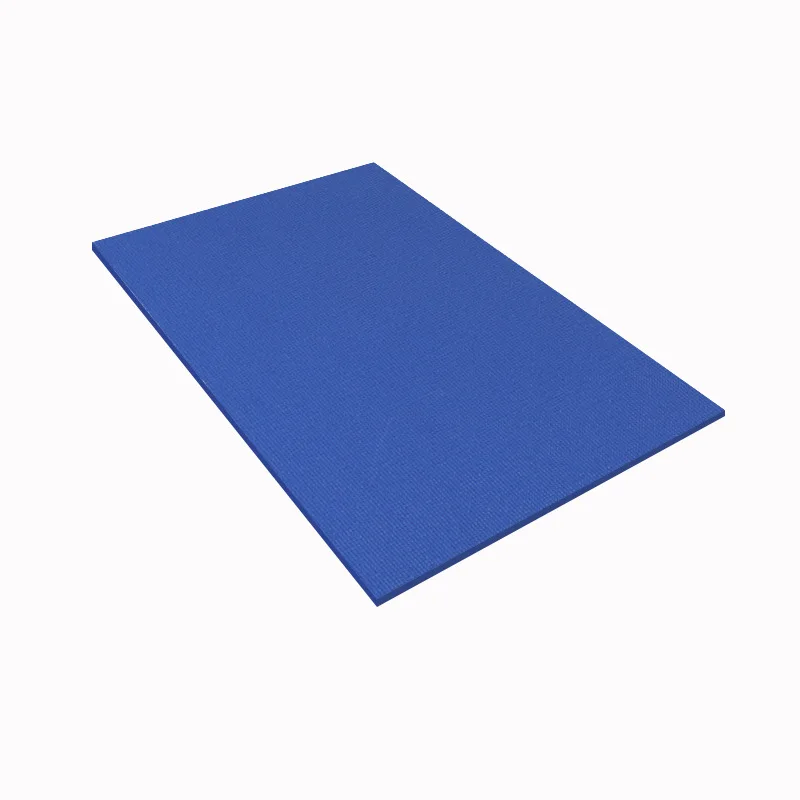 Portable Yoga Mat Flat Support Exercise Abdomen Small Inversion Mat PVC Shock Absorption Balance Fitness Supplies